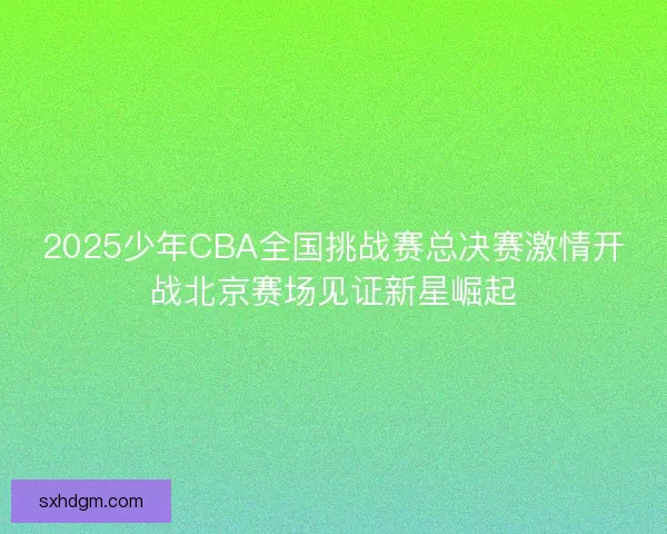 2025少年CBA全国挑战赛总决赛激情开战北京赛场见证新星崛起