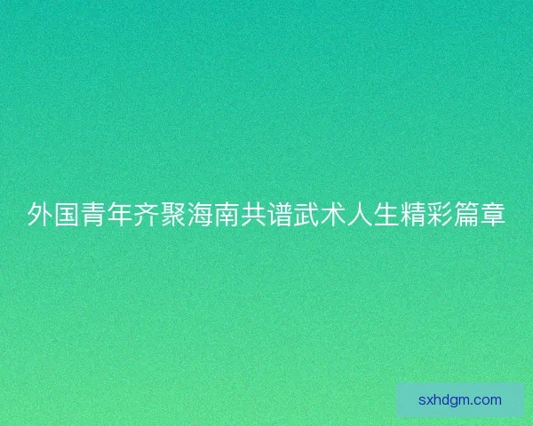 外国青年齐聚海南共谱武术人生精彩篇章