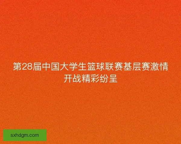 第28届中国大学生篮球联赛基层赛激情开战精彩纷呈
