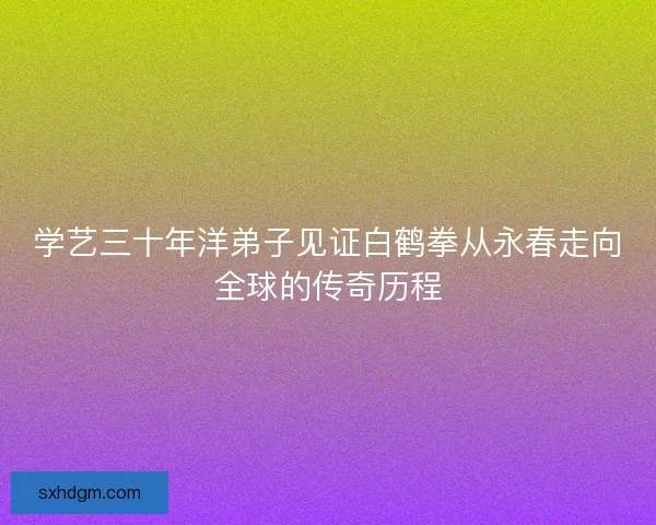 学艺三十年洋弟子见证白鹤拳从永春走向全球的传奇历程