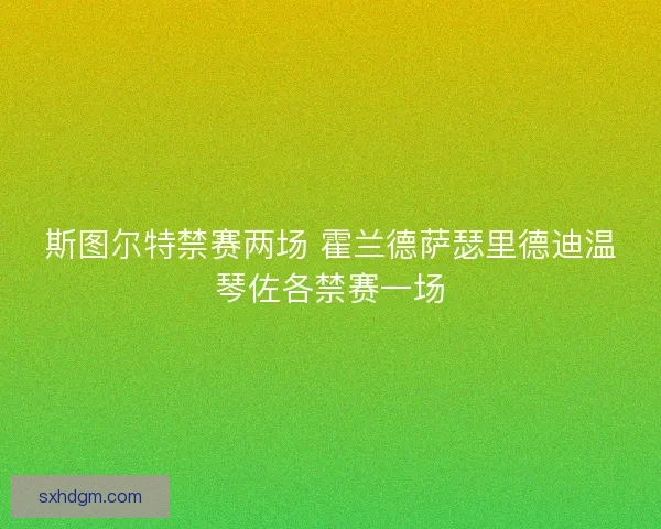 斯图尔特禁赛两场 霍兰德萨瑟里德迪温琴佐各禁赛一场 斯图尔特禁赛两场 霍兰德萨瑟里德迪温琴佐各禁赛一场